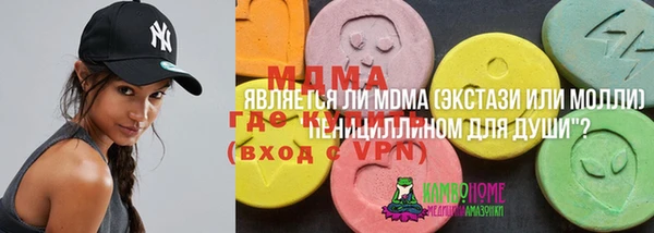 хмурый Алексеевка