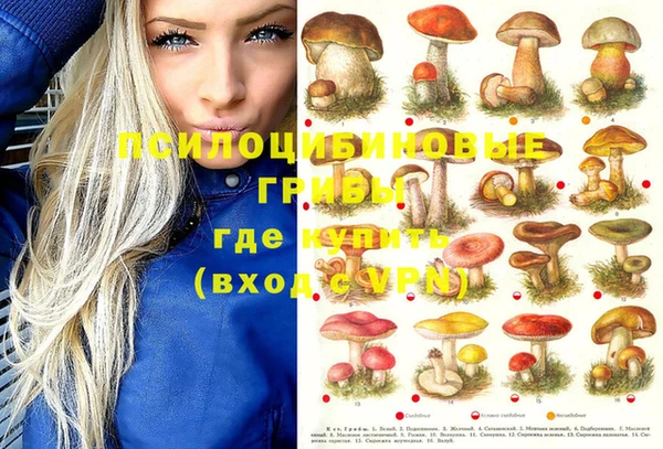 трава Алзамай
