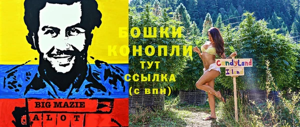 хмурый Алексеевка