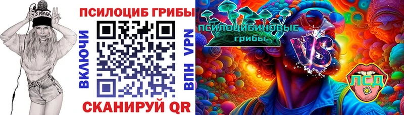 Купить закладки  Белинский  Псилоцибиновые грибы Psilocybine cubensis 